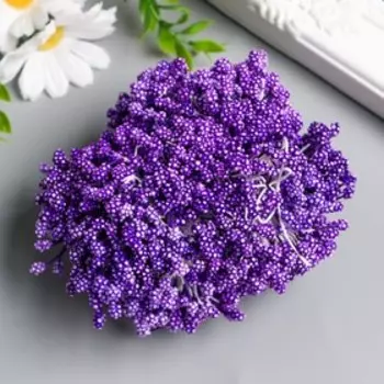 Тычинки для цветов "Капельки пузырьковые фиолет" 4х7 мм набор 700 шт длина 6,5 см