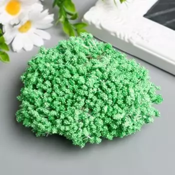 Тычинки для цветов "Капельки пузырьковые зелень" 4х7 мм набор 700 шт длина 6,5 см