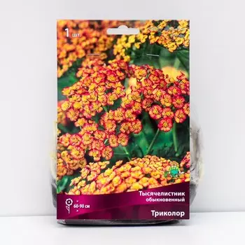 Тысячелистник "обыкновенный Триколор ", 1 шт, р-р I, Весна 2025