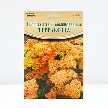 Тысячелистник "Terracotta", обыкновенный, р-р I, 1 шт, Весна 2024