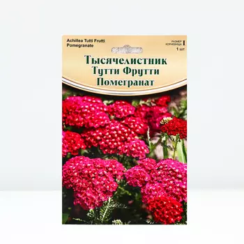 Тысячелистник "Tutti Frutti Pomegranate ® PBR", р-р I, 1 шт, Весна 2024