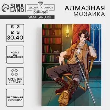 УЦЕНКА Алмазная вышивка с частичным заполнением «Незнакомец» 3040 см, холст