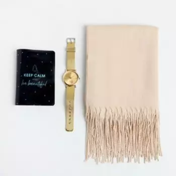 УЦЕНКА Набор "Стильная зима", палантин (180х68 см), обложка для паспорта и наручные часы