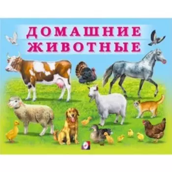 Учим малыша «Домашние животные»