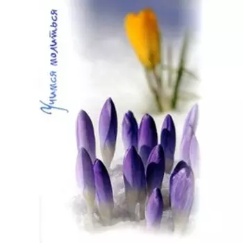 Учимся молиться. Союзов А.