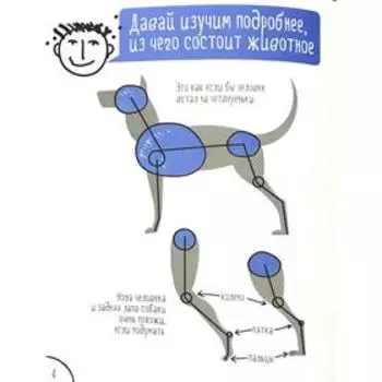 Учусь рисовать. Животные. Лейбман А.