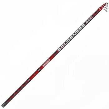 Удилище поплавочное с кольцами Team Salmo BOLOGNESE, тест 2-15 г., длина 6 м.