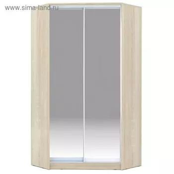 Угловой шкаф-купе Хит-У-22-4-88, 110011002200 мм, матовое стекло, цвет дуб сонома