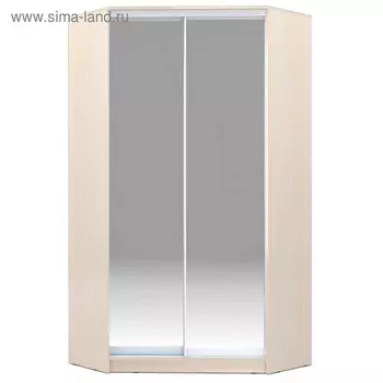 Угловой шкаф-купе Хит-У-22-4-88, 110011002200 мм, матовое стекло, цвет дуб молочный