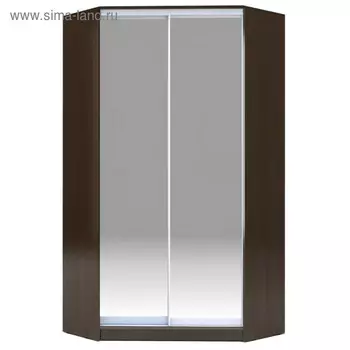 Угловой шкаф-купе Хит-У-22-4-88, 110011002200 мм, матовое стекло, цвет венге цаво