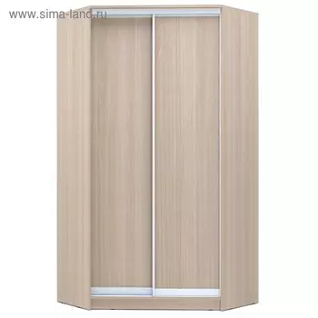 Шкаф – купе угловой «Хит – У – 23 – 4 – 11», 110311032300 мм, цвет ясень шимо светлый
