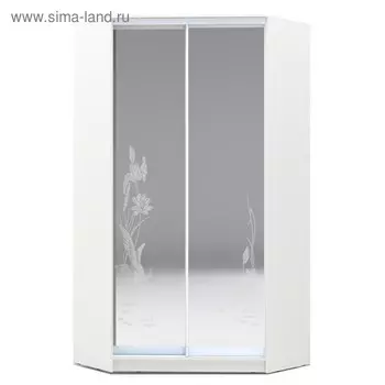 Угловой шкаф-купе Хит-У-23-4-66, 2300х1103х1103 Белый/Цапли