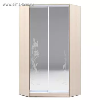 Угловой шкаф-купе Хит-У-23-4-66, 2300х1103х1103 Дуб Девонширский/Цапли