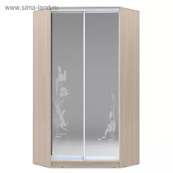 Угловой шкаф-купе Хит-У-23-4-66, 2300х1103х1103 Ясень шимо светлый/Цапли