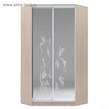 Угловой шкаф-купе Хит-У-23-4-66, 2300х1103х1103 Ясень шимо светлый/Колибри