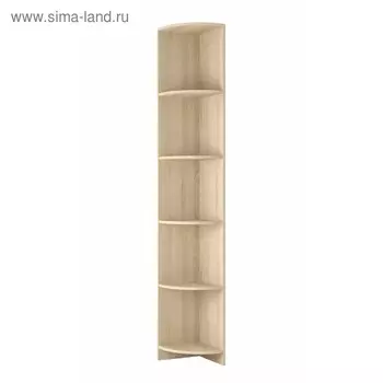 Шкаф угловой завершение «Колибри», 3003002000 мм, цвет дуб сонома