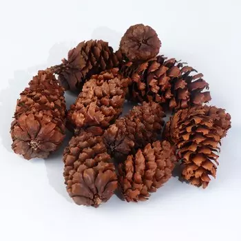 Украшение для декора «Шишки еловые», набор 10 шт