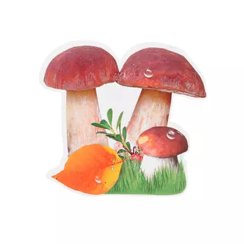 Украшение на скотче "Грибы" листочек, 10 х 10 см