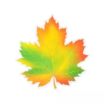 Украшение на скотче "Кленовый лист" зелёный, оранжевый, 18х18 см