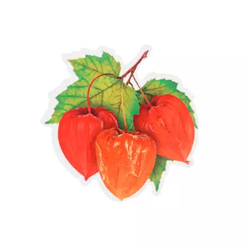 Украшение на скотче "Осень" физалис, 10 х 10 см