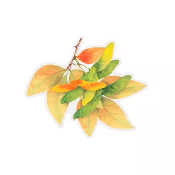 Украшение на скотче "Осень" крылатка, 10 х 10 см