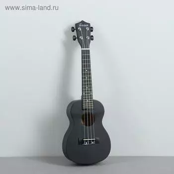 Укулеле концерт TERRIS TTC-1 BK