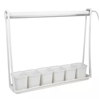 ULT-P56-10W/SPSB IP20 MARBLE ECONOM Набор «Минисад», светильник для растений светодиодны