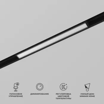 Умный трековый светильник Elektrostandard, Slim Magnetic, 301х43х22 мм, 10Вт, LED, 800Лм, 2700-6500К, цвет чёрный