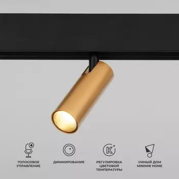 Умный трековый светильник Elektrostandard, Slim Magnetic, 158х192х35 мм, 7Вт, LED, 650Лм, 2700-6500К, цвет латунь