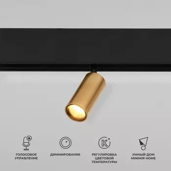 Умный трековый светильник Elektrostandard, Slim Magnetic, 192х30х128 мм, 5Вт, LED, 460Лм, 2700-6500К, цвет латунь