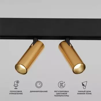 Умный трековый светильник Elektrostandard, Slim Magnetic, 158х184х35 мм, 14Вт, LED, 1300Лм, 2700-6500К, цвет латунь