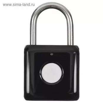 Умный замок Digma SmartLock P1, навесной, разбл.отпеч.пальца, 100мАч, черный (SRP1)