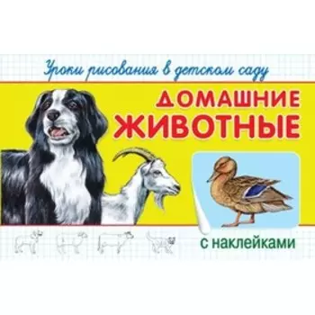 Уроки рисования в детском саду. Домашние животные