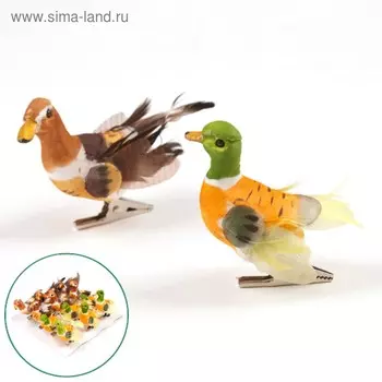 Уточки на прищепке, 5 см, набор 12 штук, микс