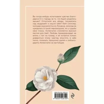 Уютное чтение (комплект из 3-х книг). Кэплин Джули, Хэпворс Салли, Кинселла Софи