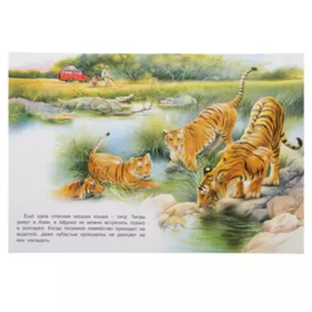 «В Африке», Гурина И. В.