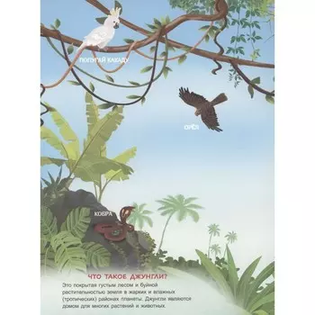 В джунглях. С многоразовыми наклейками