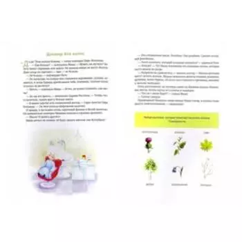 «В гостях у парикмахера», Ульева Е.