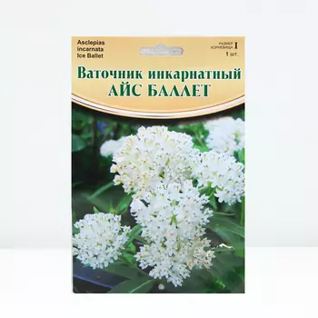 Ваточник "Ice Ballet", р-р I, 1 шт, Весна 2024