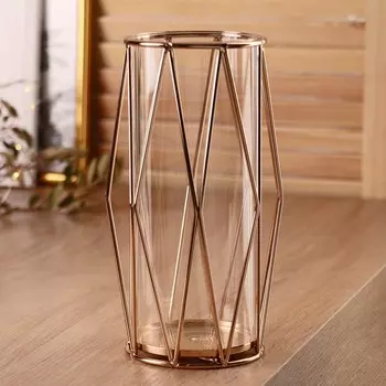 Ваза-флорариум «Ангстрем», фигурная, 1021 см, стекло, прозрачная, золотистая