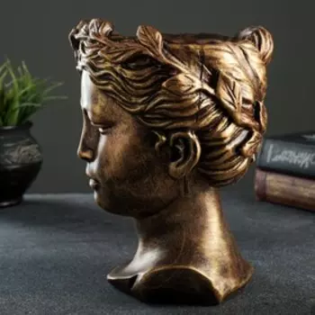 Кашпо - органайзер "Голова Венеры" бронза 22х15,5см