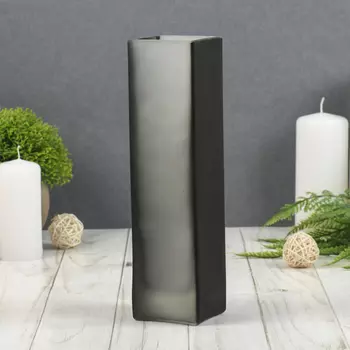 Ваза «Кошачье отражение», 320 мл, 215.55.5 см, стекло