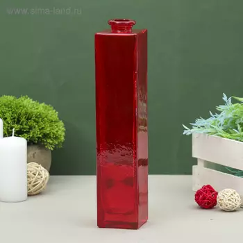 Ваза "Нарцисс" красная, прозрачная 24,5х5,5х5,5см, 0,45л