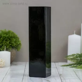 Ваза «Пять вечеров», прямая, 330 мл, 215.5 см, стекло, чёрная глянцевая