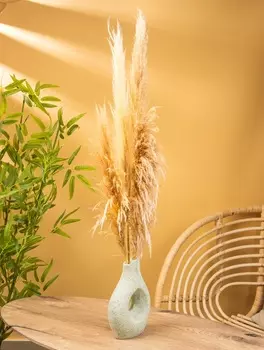 Ваза терракота «Флорина», 181027 см, керамика