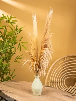 Ваза терракота «Эдесса», 131324 см, керамика