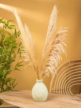 Ваза терракота «Эдесса», 71723 см, керамика