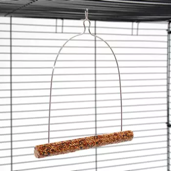 Веселые качели SEVEN SEEDS игрушка-лакомство для птиц с ягодой 60 г