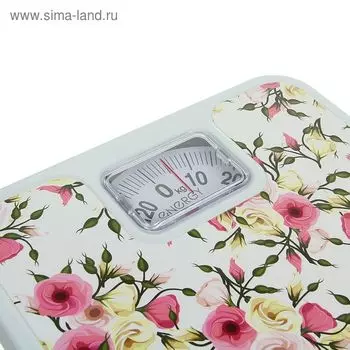 Весы напольные ENERGY ENМ-409B, механические, до 120 кг, картинка "Кустовые розы"