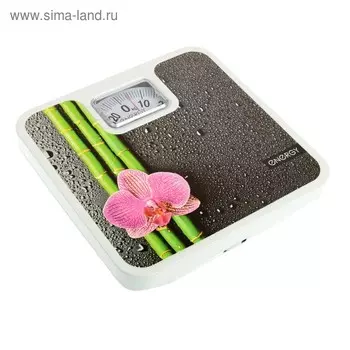 Весы напольные ENERGY ENМ-409D, механические, до 130 кг, картинка "Бамбук"